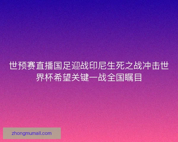 世预赛直播国足迎战印尼生死之战冲击世界杯希望关键一战全国瞩目