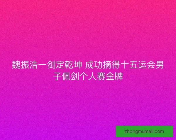 魏振浩一剑定乾坤 成功摘得十五运会男子佩剑个人赛金牌